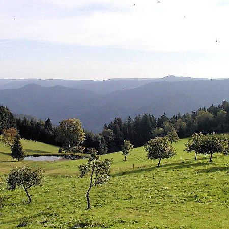 Schanzenberghof Hornberg Exterior photo